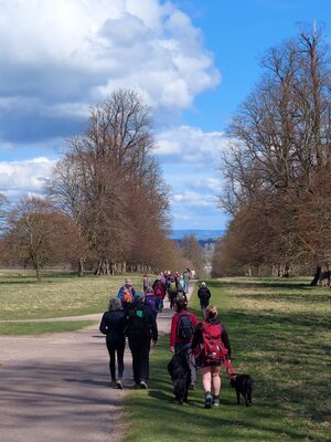 Fountains Deer Park towards Ripon